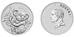 Australischer Koala
