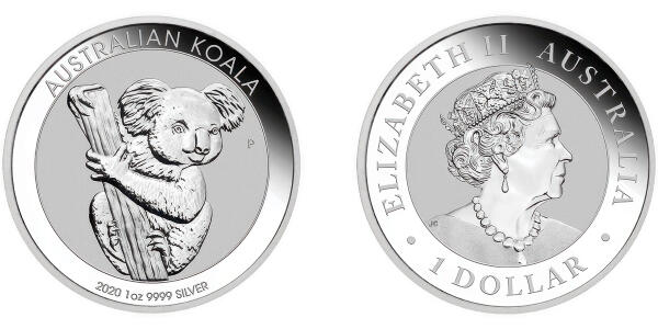 Australischer Koala
