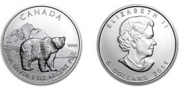 Grizzlybär