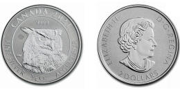 Große gehörnte Eule