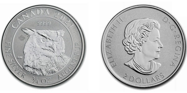 Große gehörnte Eule